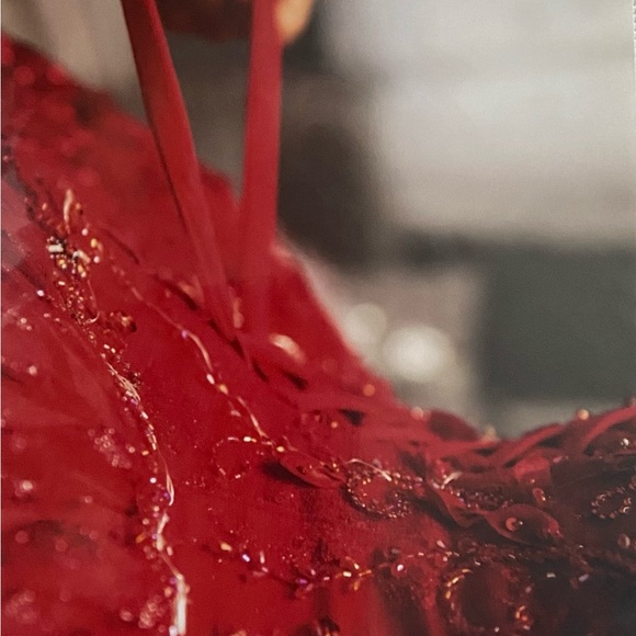 Long Dress - Picture 3 of 3